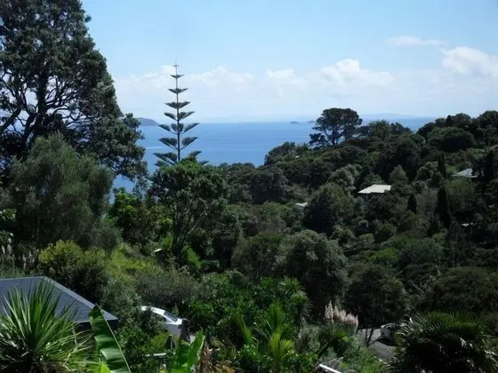 Palm Heights