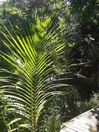 Palm Heights - Dış Mekan