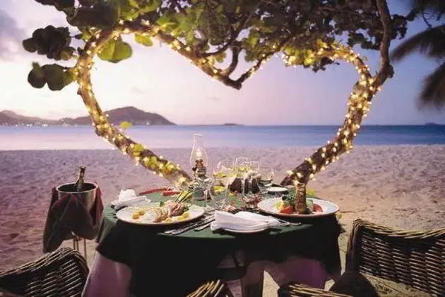 Palm Island