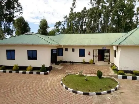 The Palm Lodge