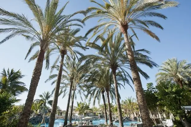 Palm Oasis Maspalomas - Dış Mekan