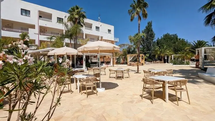 The Palm Star Ibiza - Oda Düzeni