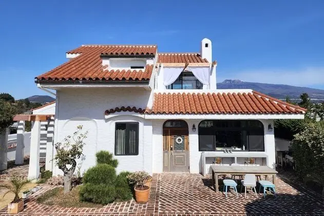 Palm Tree Villa - Dış Mekan