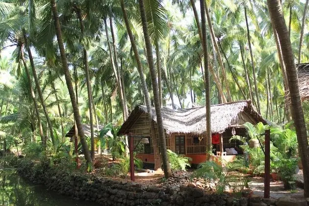 Palm Trees Ayurvedic Heritage