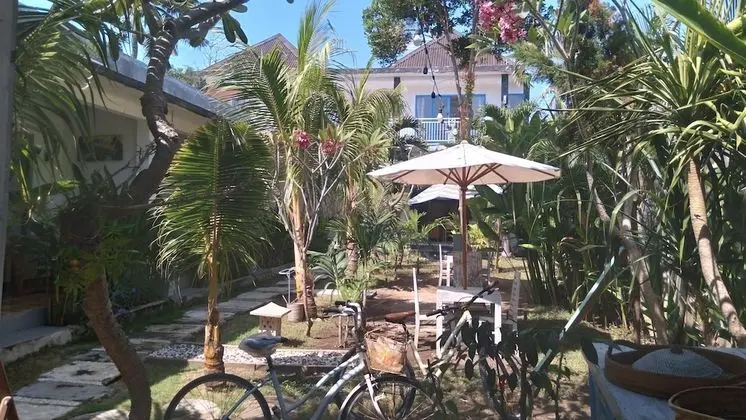 Palm Trees Villas
