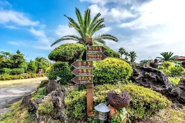 Palm Valley Resort - Lobi