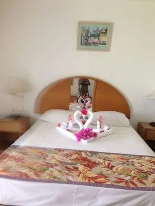Palm View Guesthouse and Conference Centre - Oda