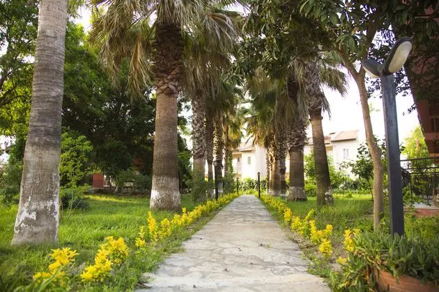 Palme Hotel
