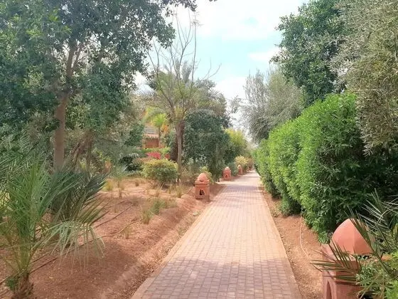 Palmeraie Appart first floor - Dış Mekan