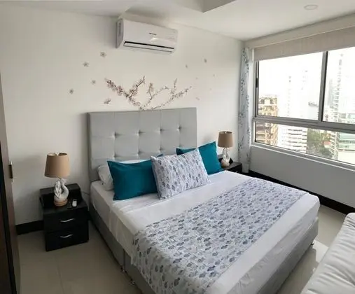 Palmetto Eliptic 2301 - Öne Çıkan Resim