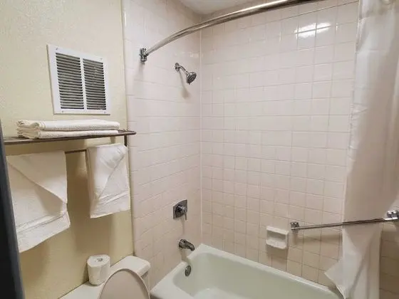Palmetto Inn & Suites - Banyo Tipleri