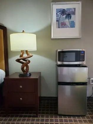Palmetto Inn & Suites - Kolaylıklar