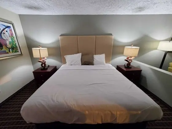 Palmetto Inn & Suites - Oda