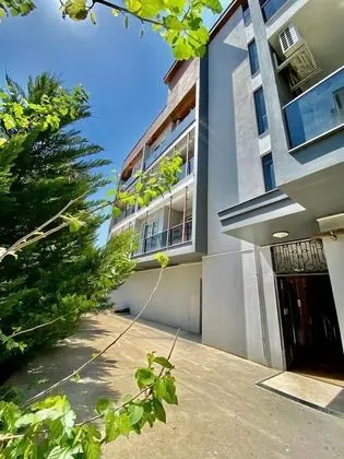 Palmiye Gold - Dış Mekan