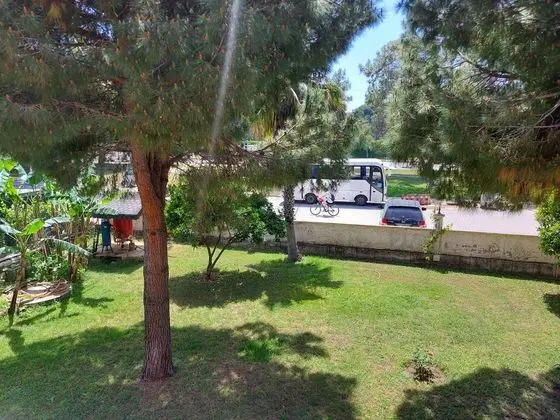 Palmiye Tatil Sitesi - Genel
