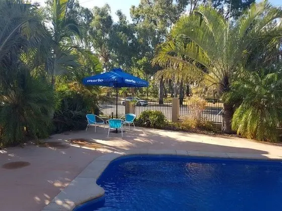 The Palms Motel - Havuz
