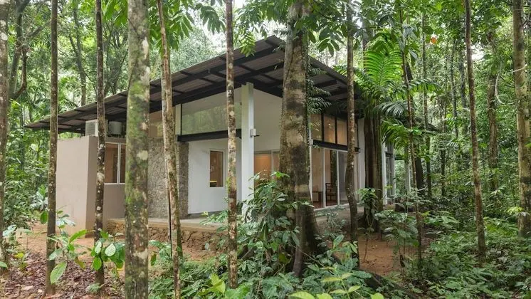 Palmstone Retreat - Kithulgala - Oda