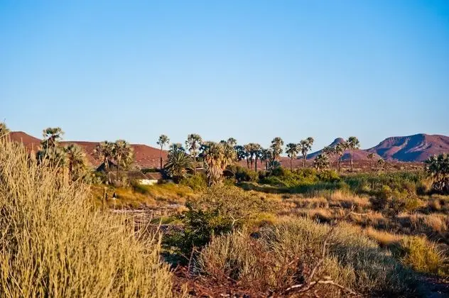 Palmwag Lodge - 1
