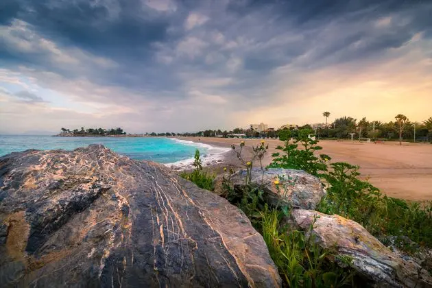 Hotel Palmyra Beach - Plaj