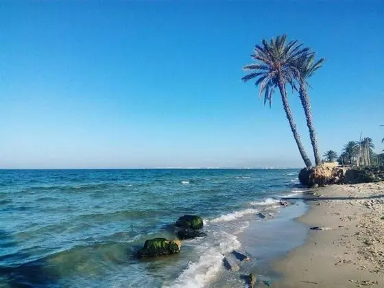 Palmyra Holiday Resort & Spa - Families Only - Plaj