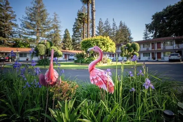 The Palo Alto Inn - Dış Mekan