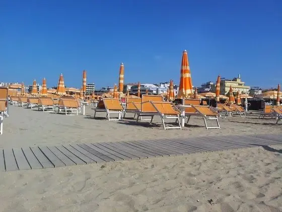 Hotel Paloma - Plaj