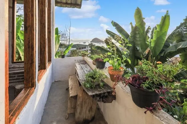 Palulu Garden Homestay - Dış Mekan