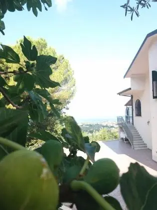 Panacea Country House - Dış Mekan