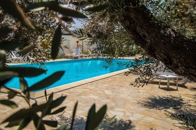Panacea Residence
