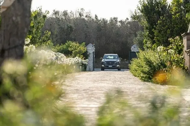 Panacea Residence - Dış Mekan