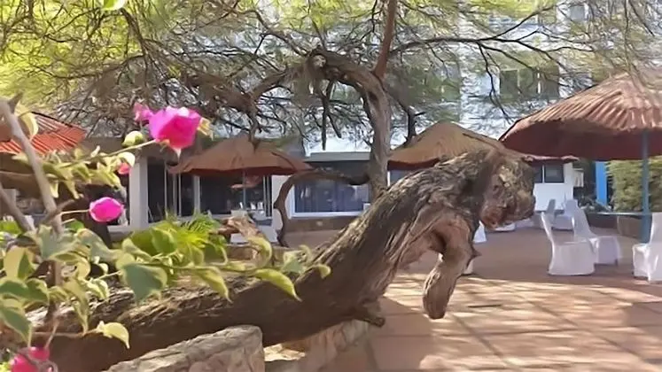 Hotel panamerican - Öne Çıkan Resim