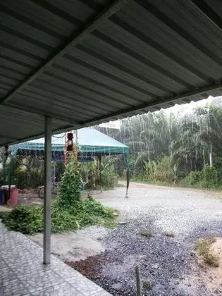 Panchaya Homestay - Öne Çıkan Resim