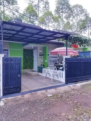 Panda Homestay - 1
