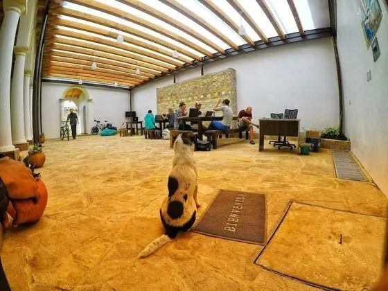 Panda Hostel