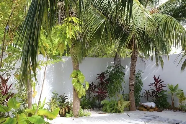 Pandanus Villa - 1