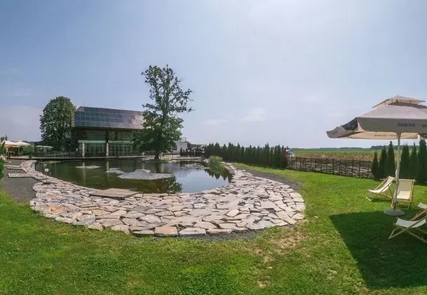 Pannonian Villa 12 - Havuz
