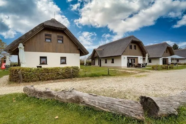 Pannonian Studio For Two