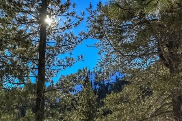 Panorama Chalet - Dış Mekan