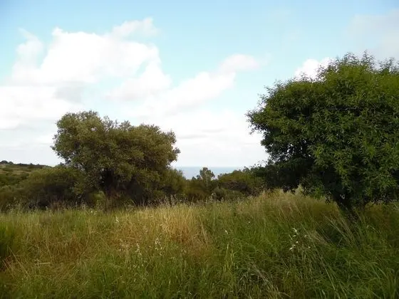 Panorama Genadi - Dış Mekan