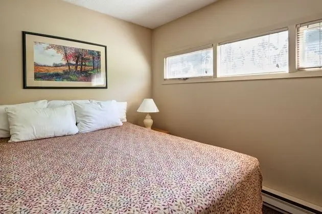 Panorama Mountain Resort - Toby Creek Horsethief Condos - Oda