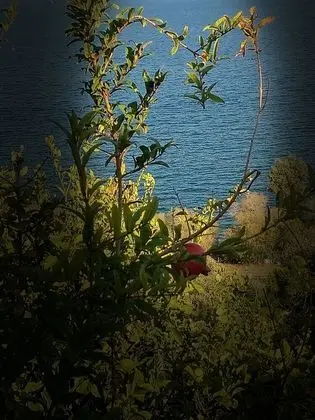 Panorama Residence Magnificient View - Dış Mekan
