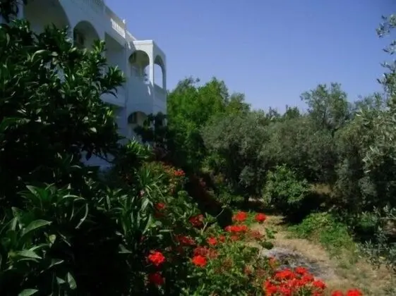 Panorama Studios - Dış Mekan