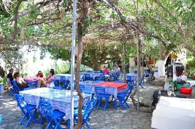 Panorama Studios - Yerinde Yemek