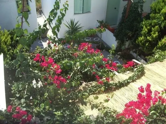 Panorama Studios - Dış Mekan
