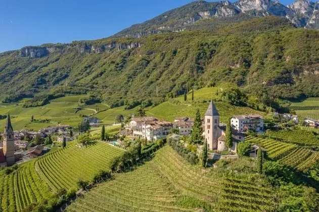 Panorama Tramin - Genel