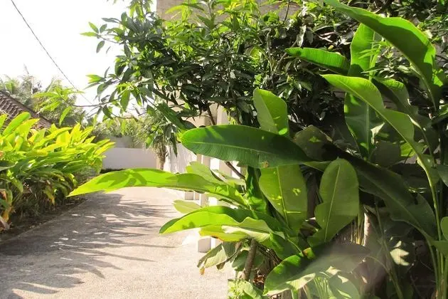 Panorama Ubud Private Villa - Dış Mekan