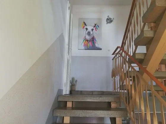 Panoramic-view Apartment in Kurort Brotterod With Sauna - İç Mekan