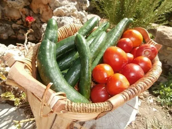 Pansion Limni - Yerinde Yemek