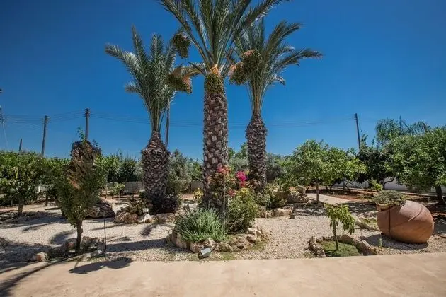 Papas Family Villa With Private Pool Wheelchair Accessible - Dış Mekan
