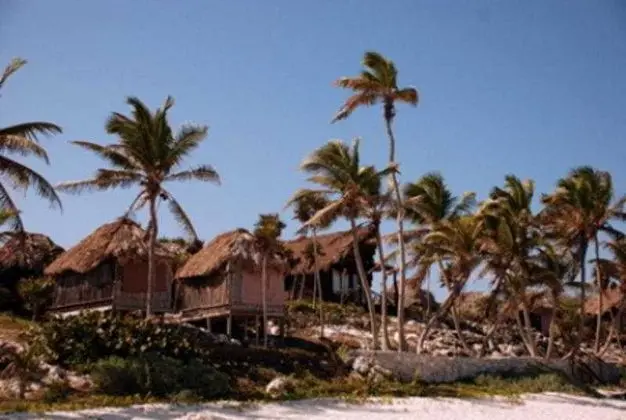 Papaya Playa Project